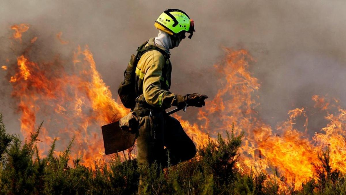 Bombero forestal