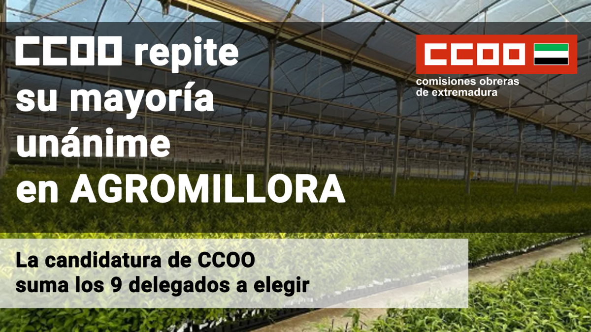 La candidatura de CCOO suma los nueve delegados a elegir
