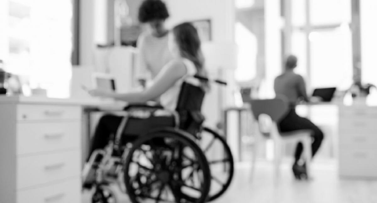 centros de atención a la discapacidad