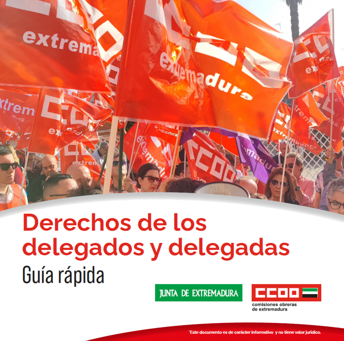 Guía delegados y delegadas