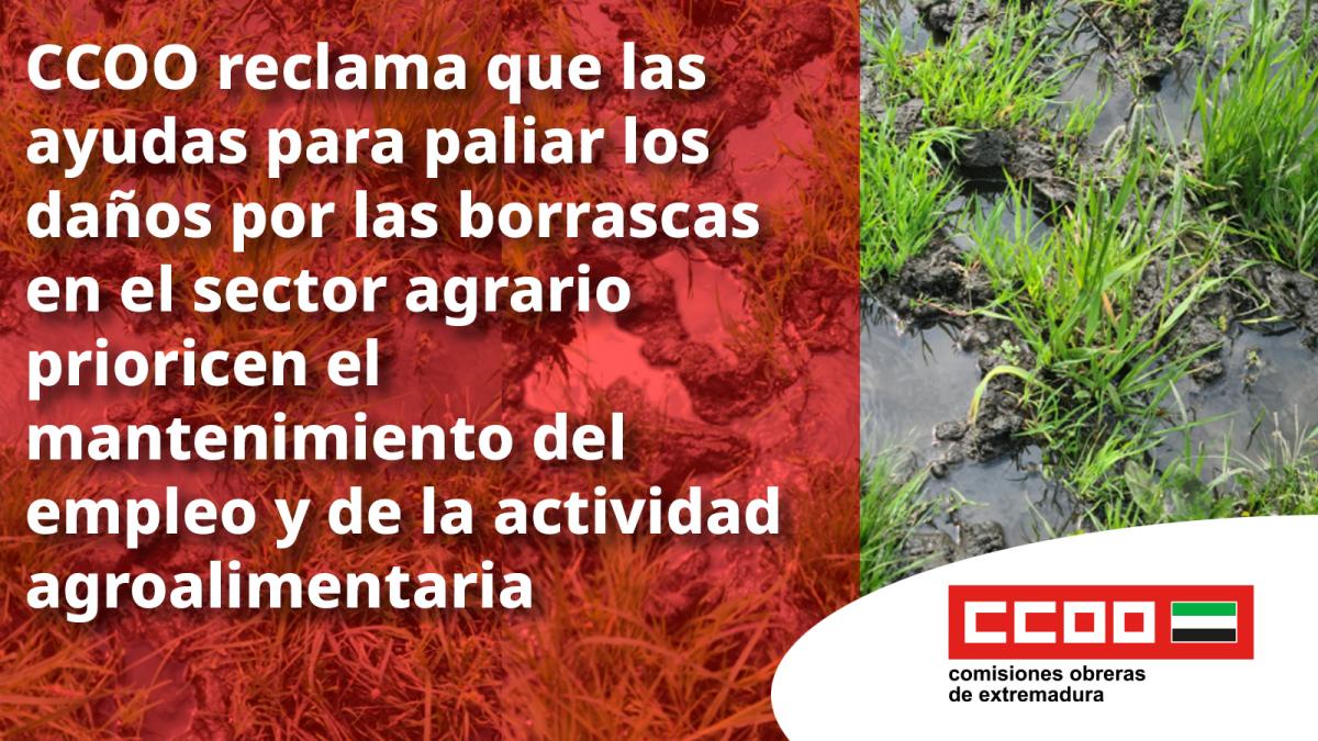 El empleo en el sector agrario debe ser garantizado