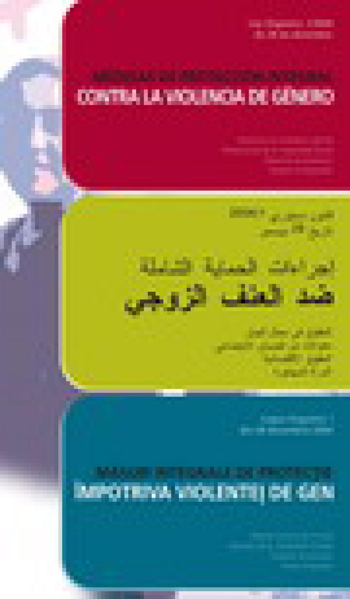 Medidas de Protección General contra la Violencia de Género (Rúmano-Árabe)