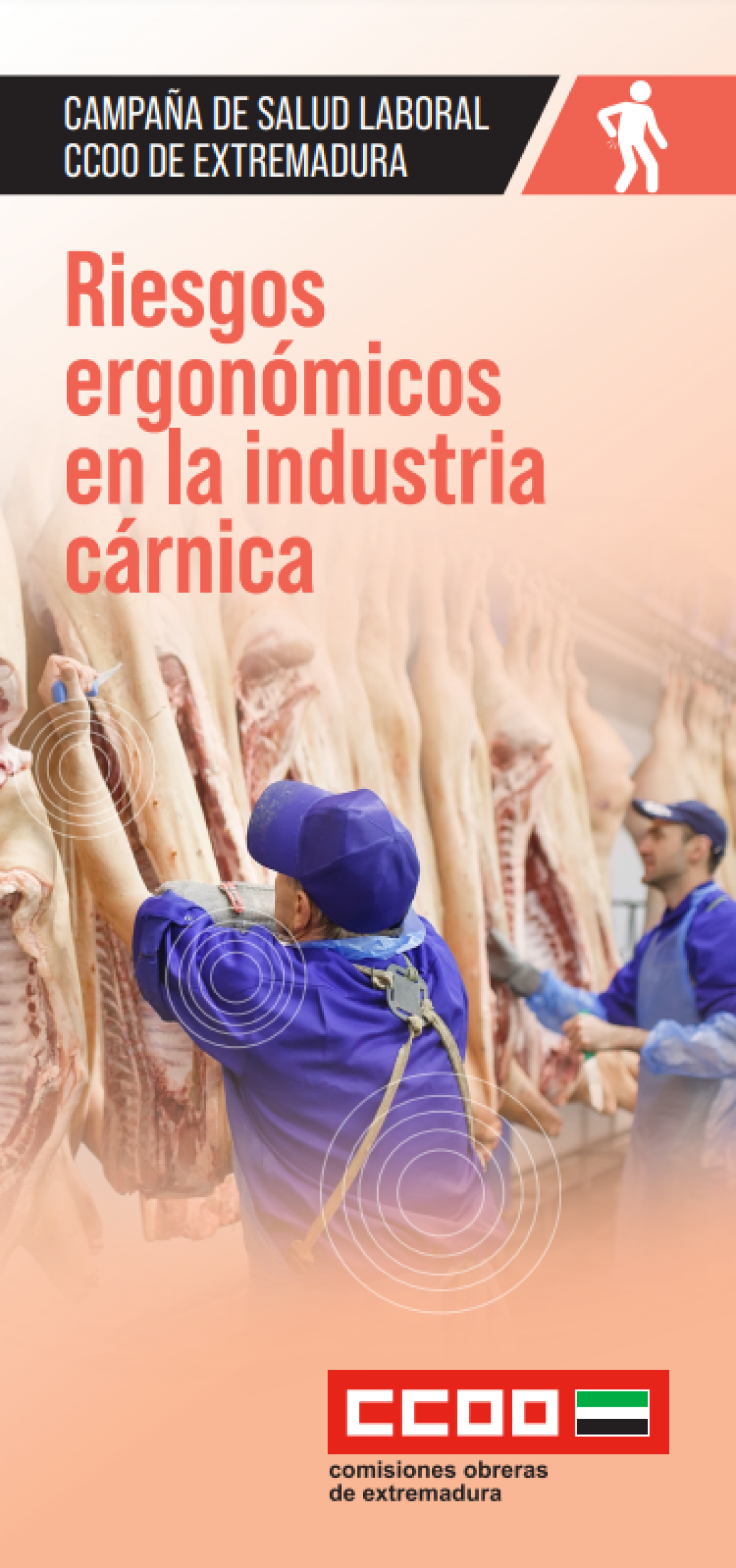 Riesgos ergonmicos en la industria crnica