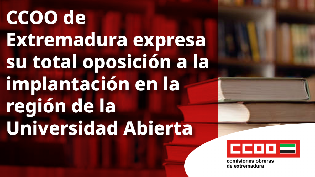 El sindicato expresa en el CES su rechazo a estas iniciativas privadas