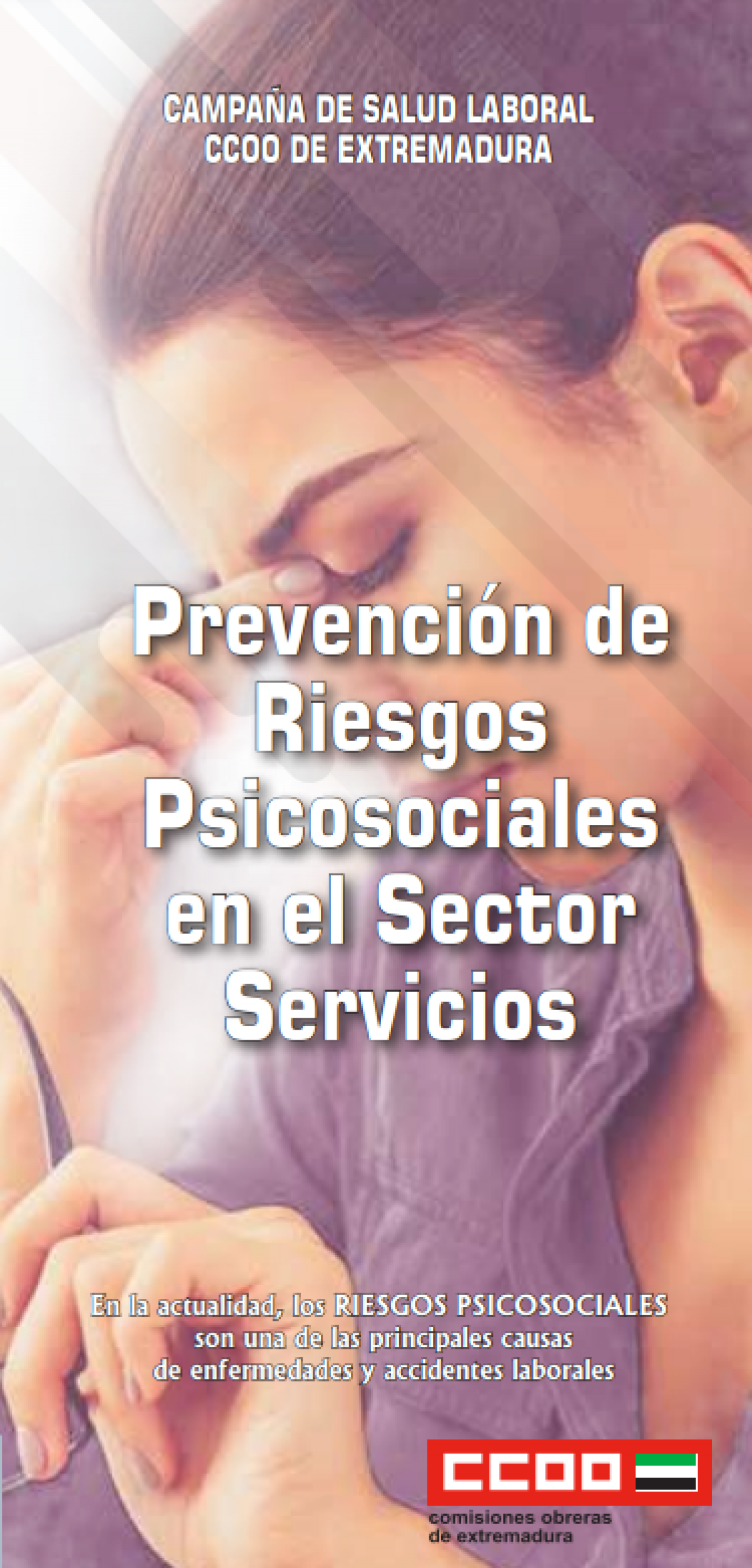 Servicios